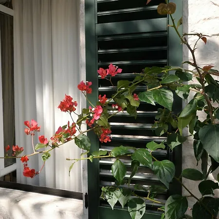 Lanterna 4*