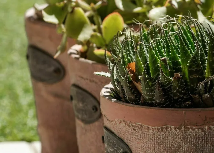 Guest house Lanterna