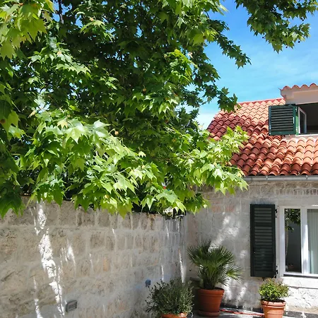 Lanterna سبليت